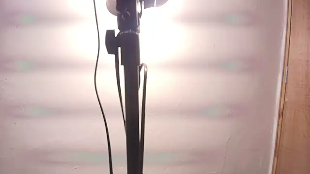 Terraelowen online show from 02.25.26