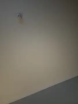 Snapshot of busty_p chatting on 09.11.25 busty p online show from 09.11.25