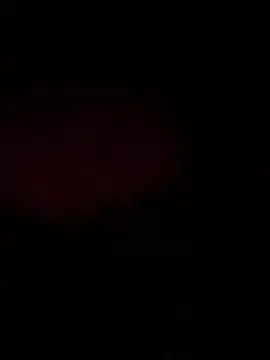 playboy100N online show from 11.29.25