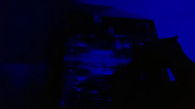 Snapshot of alexgiraldo__ chatting on 05.27.26 alexgiraldo online show from 05.27.26