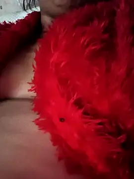 heena3355 online show from 11.20.25