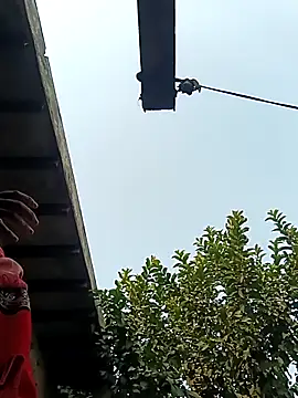 heena3355 online show from 12.02.25