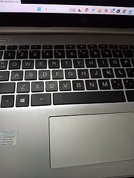 Snapshot of Samantaapu chatting on 02.14.26 Samantaapu online show from 02.14.26