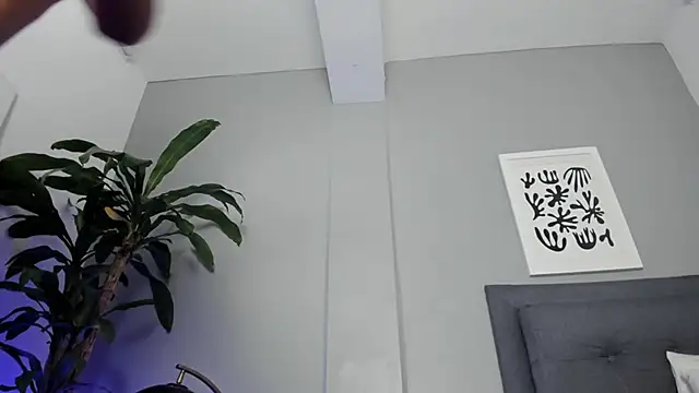 Tylerffoxx online show from 04.29.26