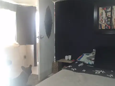 Dara-montenegro online show from 10.16.25