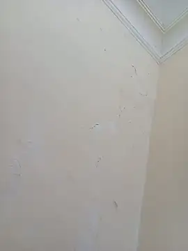 Sondosa3 online show from 10.05.25