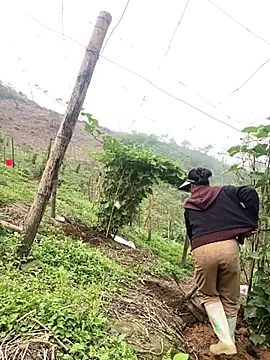 Snapshot of Huong-Ly chatting on 03.27.26 Huong-Ly online show from 03.27.26