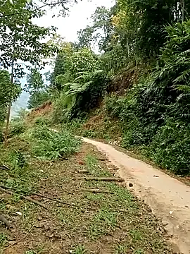 Dung-Thao19 online show from 11.24.25