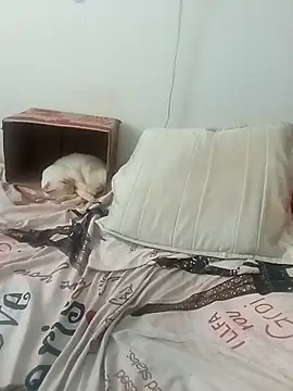 tany90 online show from 11.19.25