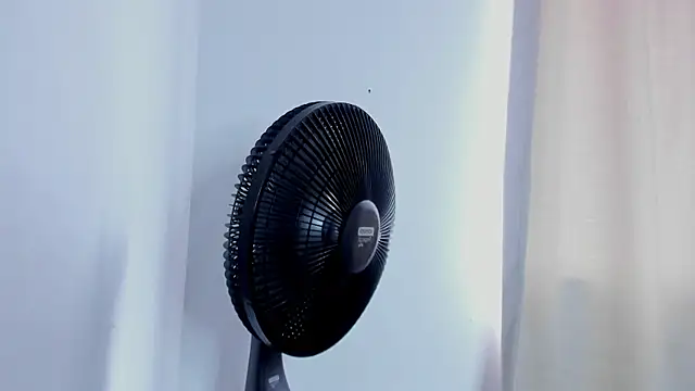 ashly pnik1 online show from 03.05.26