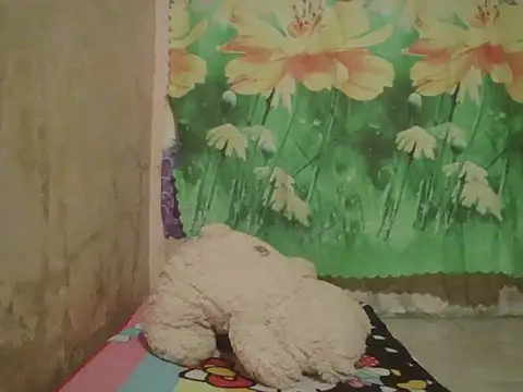 Snapshot of sexymorenal18 chatting on 09.27.25 sexymorenal18 online show from 09.27.25