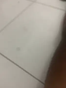 Snapshot of novin21rj chatting on 04.07.26 novin21rj online show from 04.07.26