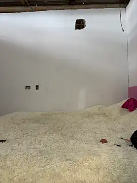 Alexis Spicter online show from 12.13.25