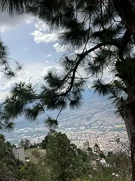 Alexis Spicter online show from 12.14.25