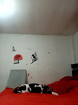 Snapshot of Lady_16 chatting on 01.06.26 Lady 16 online show from 01.06.26