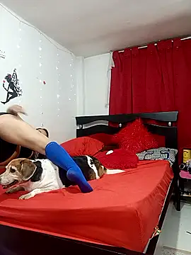 Snapshot of Lady_16 chatting on 02.13.26 Lady 16 online show from 02.13.26