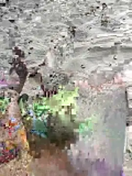 pegaso369 online show from 06.16.26