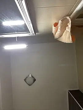 Lexi Storm online show from 02.08.26