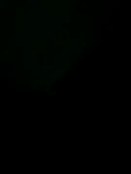 Snapshot of Liendro chatting on 11.20.25 Liendro online show from 11.20.25