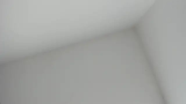 VioletRose as online show from 11.16.25