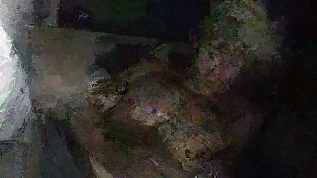 IsAparty online show from 10.11.25