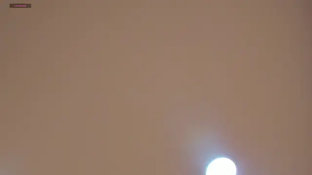 CharlotteBrownn  online show from 06.06.26