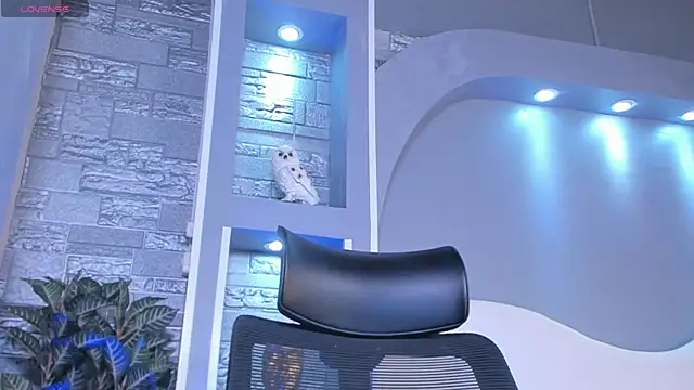 dominic de luca online show from 04.22.26