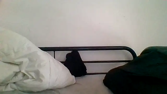 Snapshot of _she_was_a_fairy chatting on 12.16.25 she was a fairy online show from 12.16.25