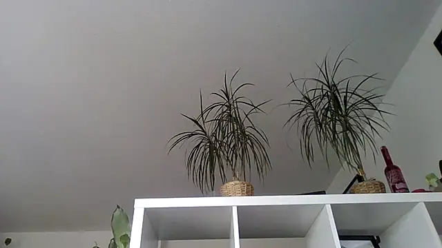 bigcockjohnxxxxx online show from 11.13.25