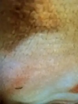 Snapshot of HOT-MUNDA chatting on 12.17.25 HOT-MUNDA online show from 12.17.25