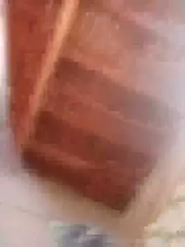 Snapshot of HOT-MUNDA chatting on 02.09.26 HOT-MUNDA online show from 02.09.26