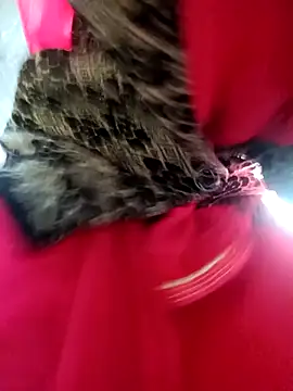 Juhi chawla online show from 12.04.25