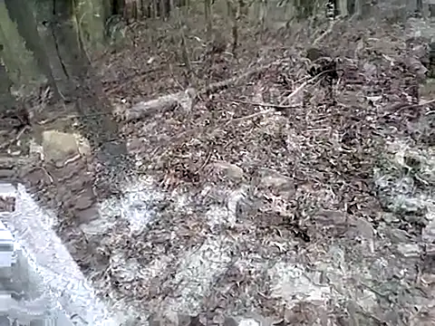 Snapshot of fischnet chatting on 09.20.25 fischnet online show from 09.20.25