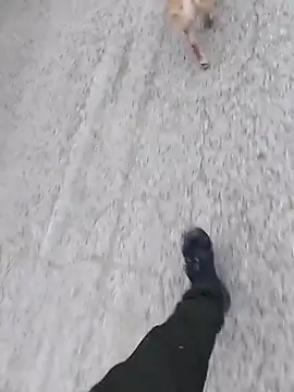 Axelitoc online show from 03.05.26