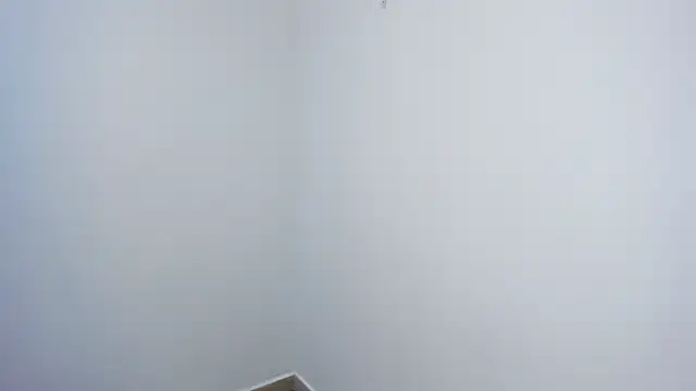 stephane rouss online show from 11.18.25