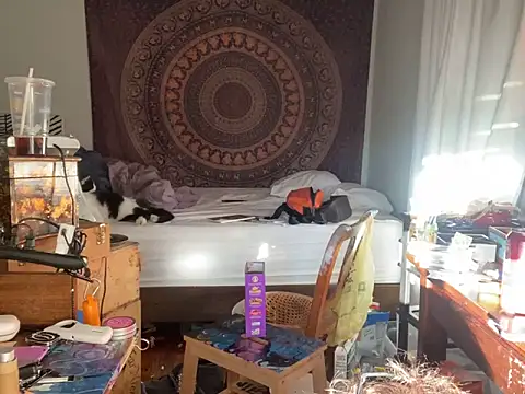 Snapshot of XanderOzzz chatting on 11.06.25 XanderOzzz online show from 11.06.25