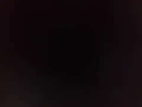 PeludoBrasil online show from 03.16.26