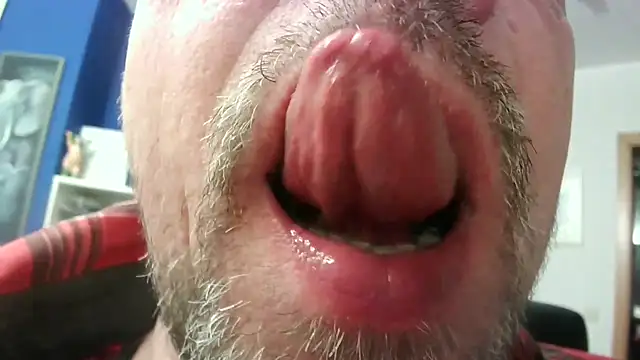 circus bearxh online show from 11.23.25