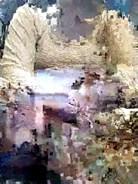 Snapshot of Gopika_Dudi chatting on 03.02.26 Gopika Dudi online show from 03.02.26