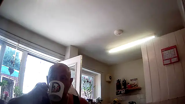 playfulchell online show from 07.17.26
