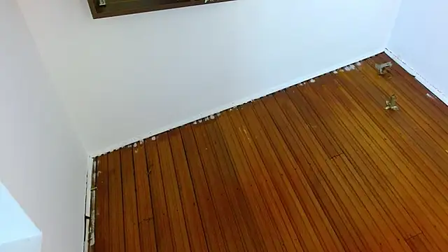 shelbygp online show from 03.05.26