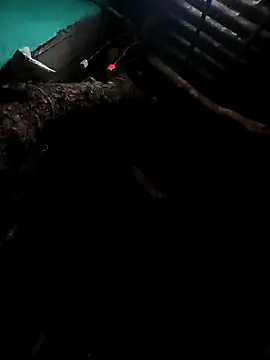 Snapshot of Suhana_pandit chatting on 09.29.25 Suhana pandit online show from 09.29.25