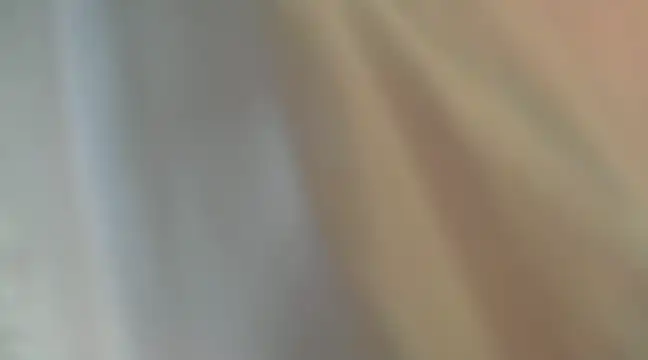 Snapshot of Liz_Hu chatting on 12.06.24 Liz Hu online show from 12.06.24