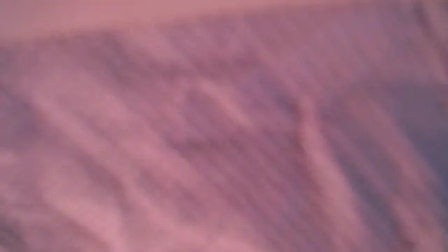 Snapshot of Liz_Hu chatting on 10.10.25 Liz Hu online show from 10.10.25