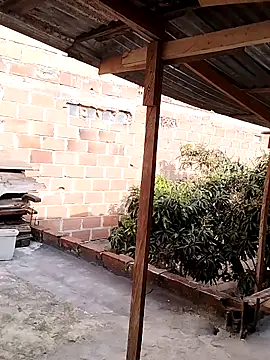 hoteder online show from 11.28.25