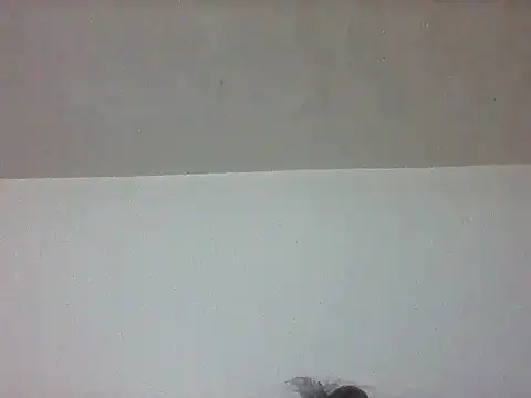 pretty349 online show from 04.20.26