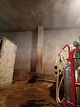 Snapshot of ezgi2545 chatting on 02.22.26 ezgi2545 online show from 02.22.26