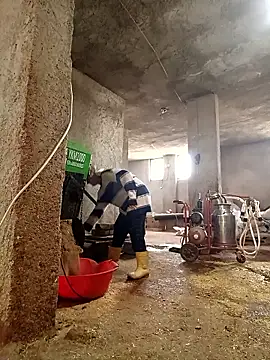 Snapshot of ezgi2545 chatting on 03.06.26 ezgi2545 online show from 03.06.26