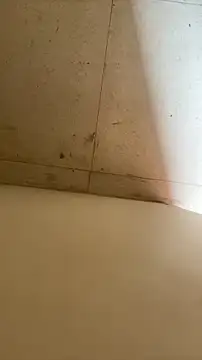 Snapshot of longfuckk chatting on 12.02.25 longfuckk online show from 12.02.25