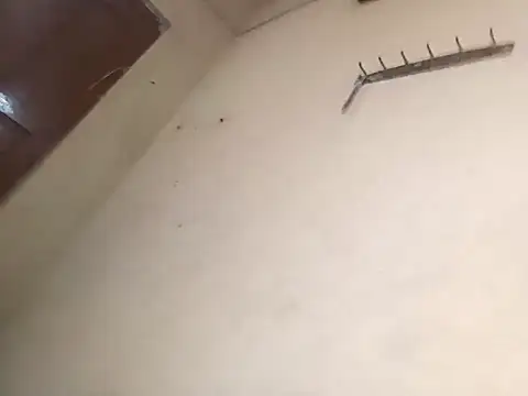 96Rohon online show from 10.18.25